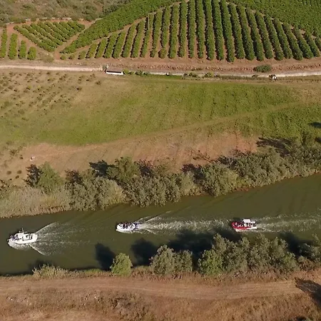 Turtle By Algarve Vacation Villa *