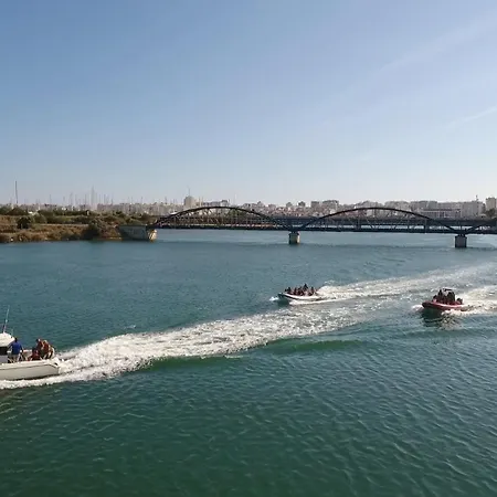 Turtle By Algarve Vacation *