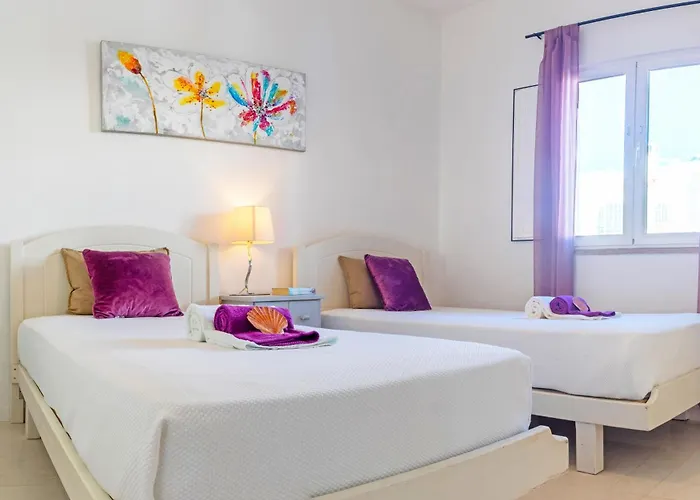 Turtle By Algarve Vacation Albufeira