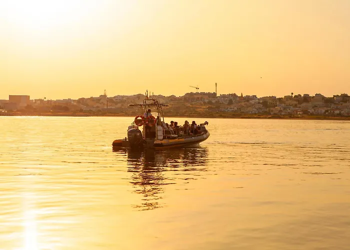 Turtle By Algarve Vacation * Albufeira