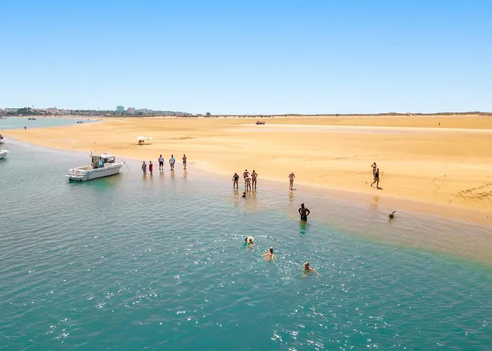 Turtle By Algarve Vacation