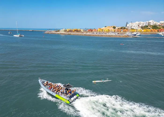 Turtle By Algarve Vacation