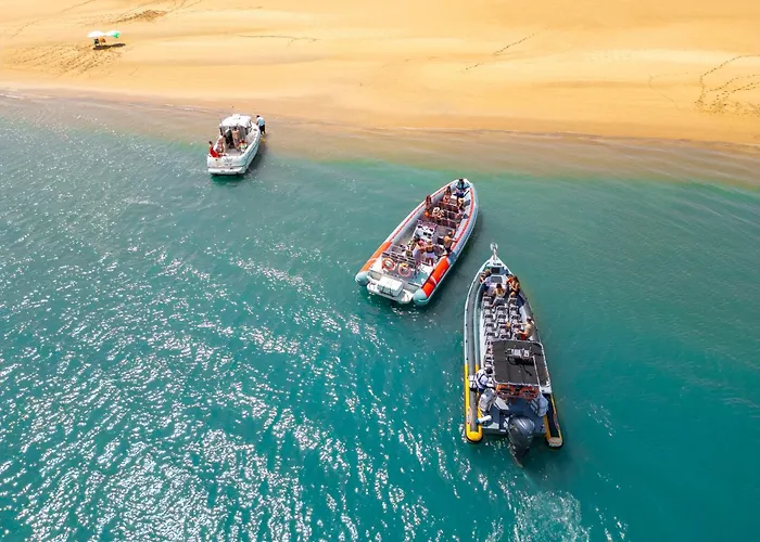 Turtle By Algarve Vacation 阿尔布费拉