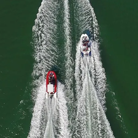 Turtle By Algarve Vacation Villa Albufeira