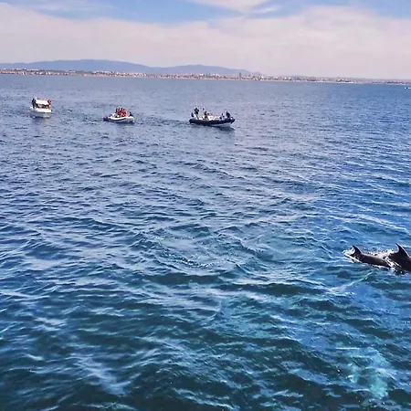 Turtle By Algarve Vacation Villa *