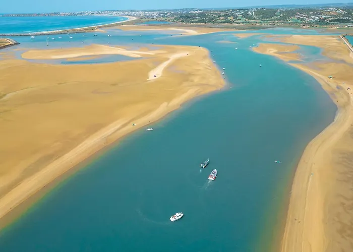 Turtle By Algarve Vacation Villa Albufeira